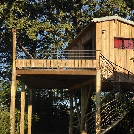 La cabane perchée du faucon Frechou-Frechet Esterno foto